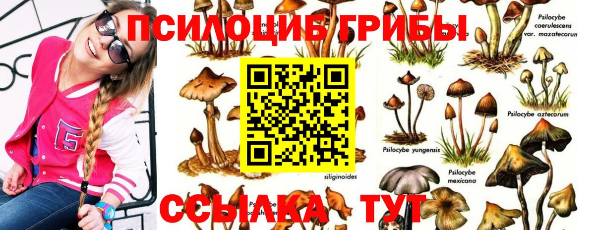 Псилоцибиновые грибы GOLDEN TEACHER  Галлюциногенные грибы Magic Shrooms  Вход с VPN  купить наркотик  Санкт-Петербург 